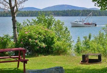 Narrows Too Camping Resort Cabin 1 Trenton Exteriör bild